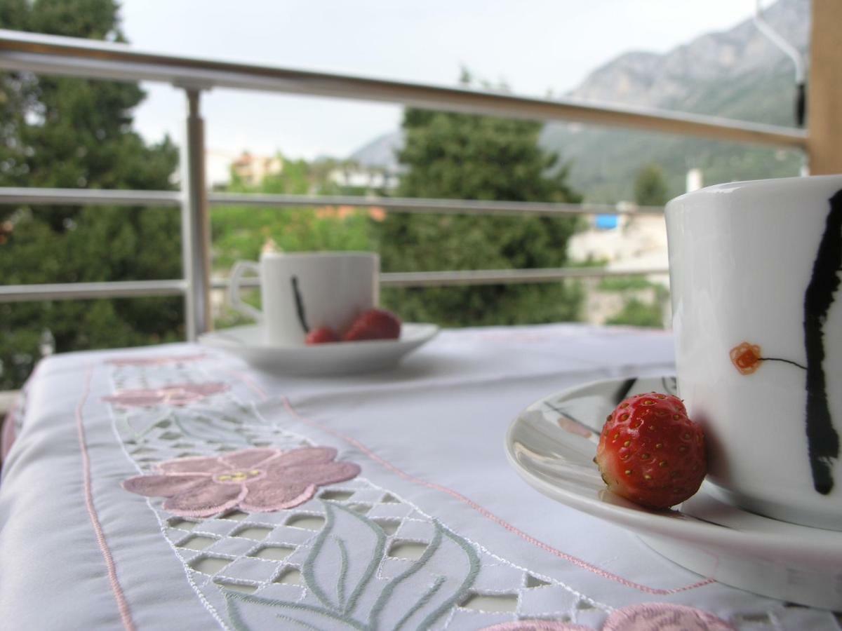 Musa Apartment Gradac  Zewnętrze zdjęcie